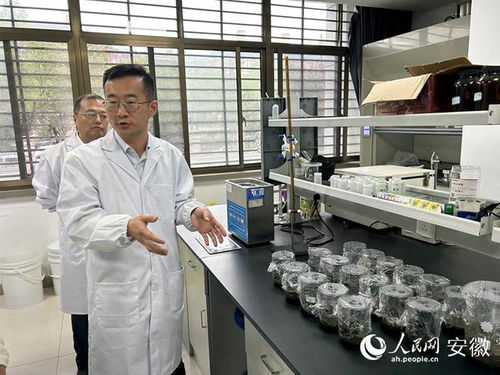 東華科技媒體開放日 新材料技術(shù)研發(fā)引領(lǐng)行業(yè)新篇章